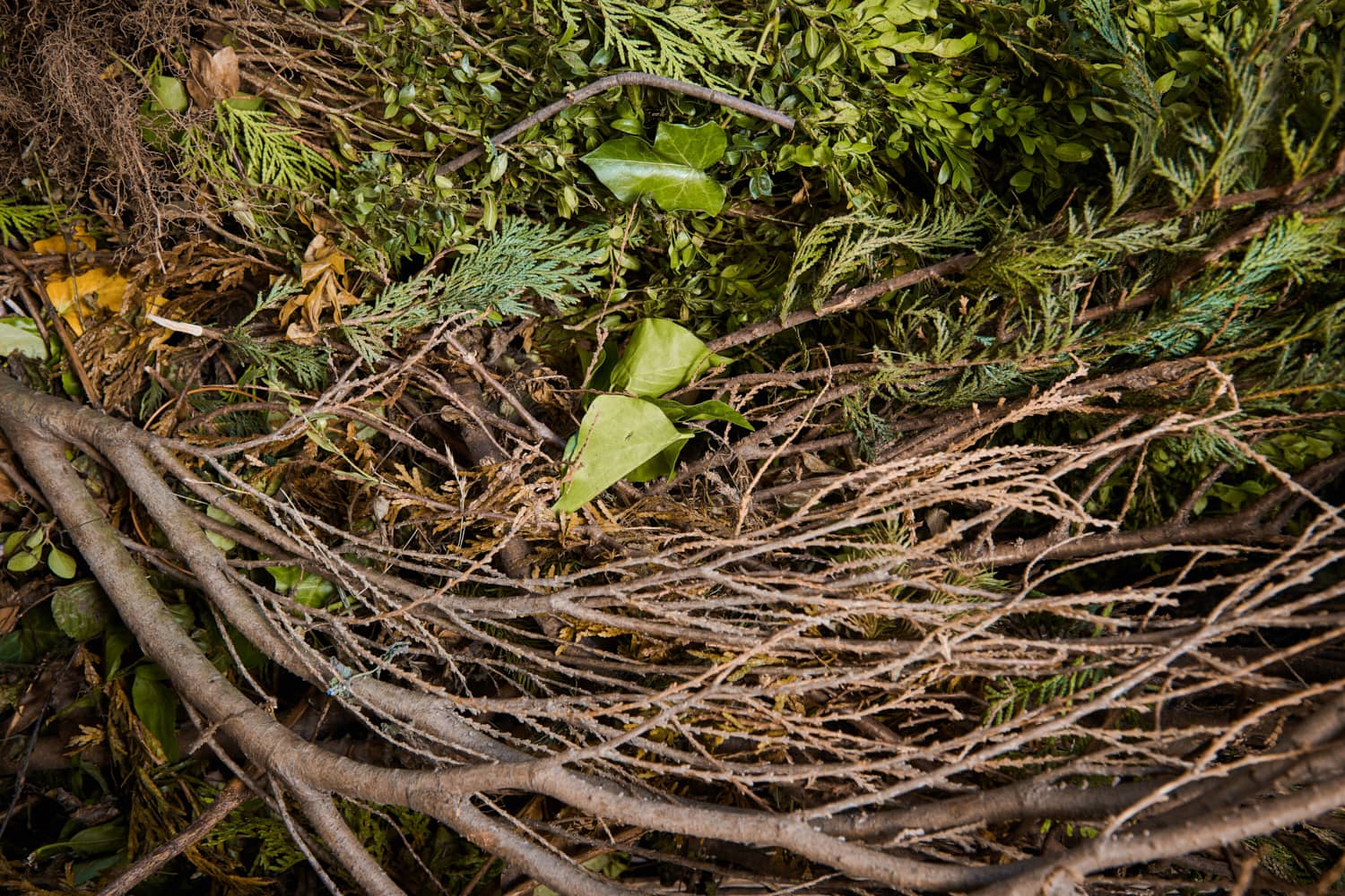 Trockenes und gr&uuml;nes Pflanzenmaterial, ideal f&uuml;r Kompostierung oder Gartenprojekte.