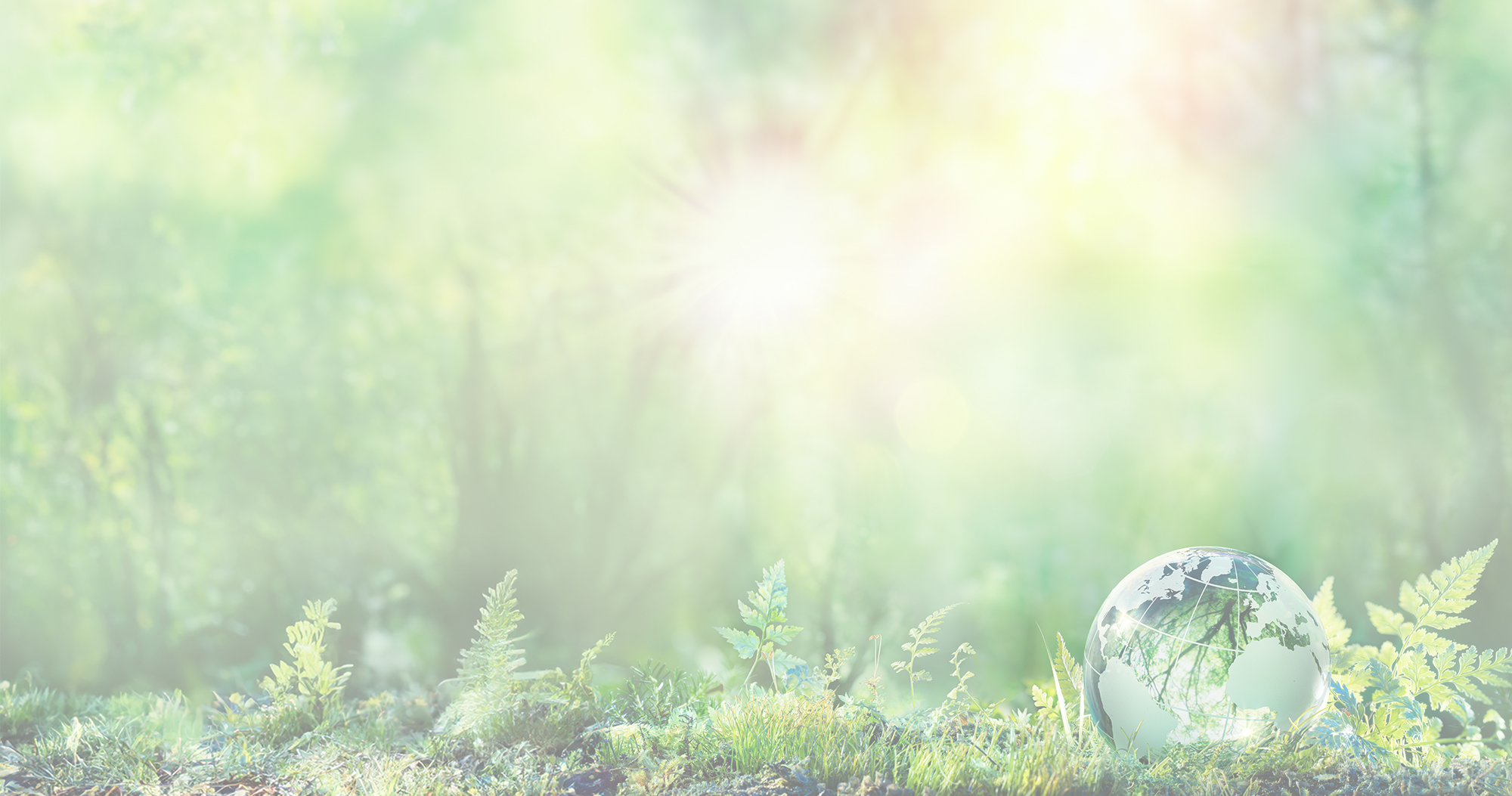 Globus mit Pflanzenreflexion im gr&uuml;nen Wald, symbolisiert Umweltschutz und Nachhaltigkeit.