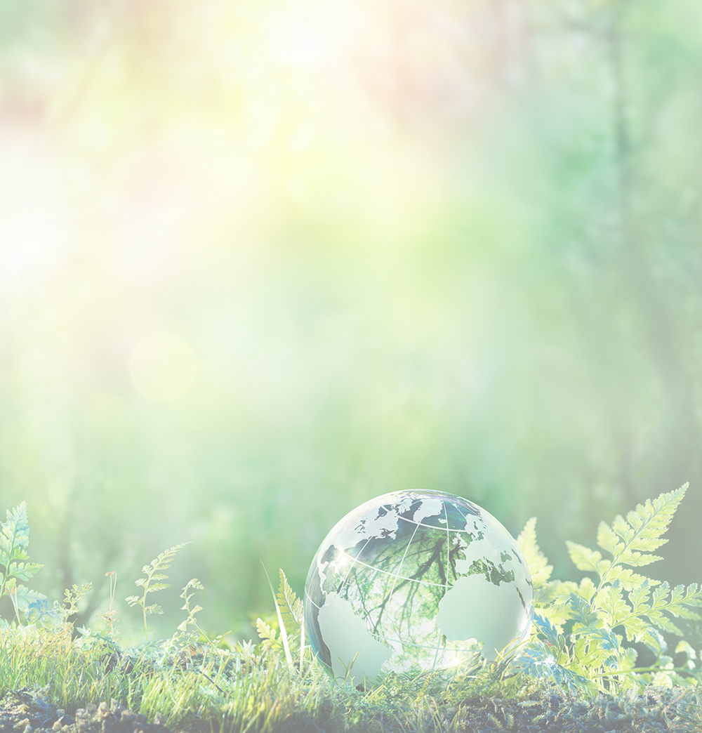 Erdkugel in einer gr&uuml;nen, naturverbundenen Umgebung mit sanftem Licht.
